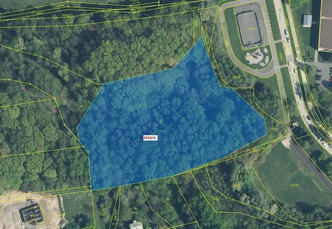 Dražba lesa, Orlová, 11452 m2