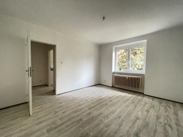 Pronájem bytu 1+1, Litvínov, Podkrušnohorská, 30 m2