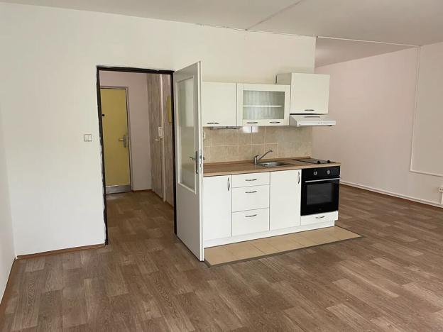 Pronájem bytu 1+kk, Litvínov, Podkrušnohorská, 39 m2