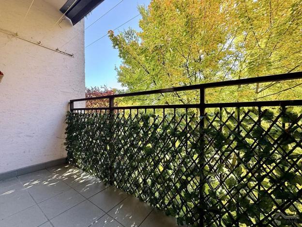 Pronájem bytu 3+1, Ostrava, Antonína Poledníka, 65 m2