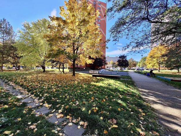 Pronájem bytu 3+1, Ostrava, Antonína Poledníka, 65 m2