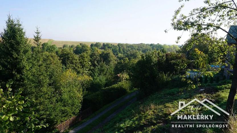 Prodej zahrady, Pašinka, 379 m2