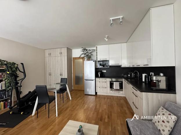 Pronájem bytu 1+kk, Brno, Božetěchova, 52 m2