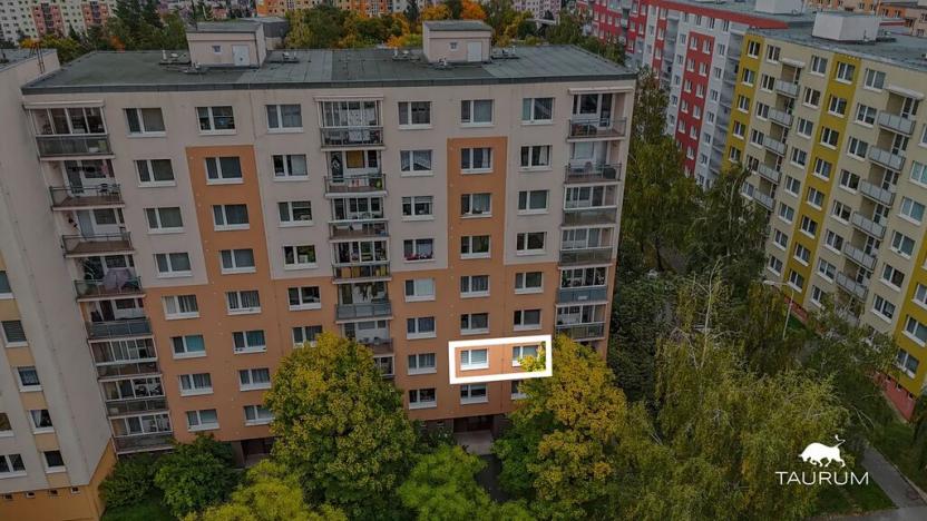 Prodej bytu 1+1, Plzeň, Komenského, 36 m2