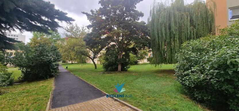 Prodej bytu 1+kk, Teplice, Maršovská, 34 m2