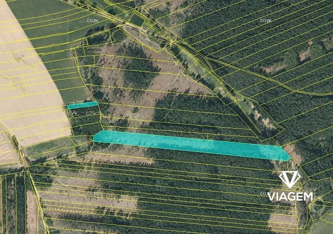 Prodej lesa, Chrbonín, 21469 m2