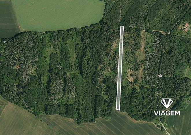 Prodej podílu lesa, Lukovany, 7046 m2