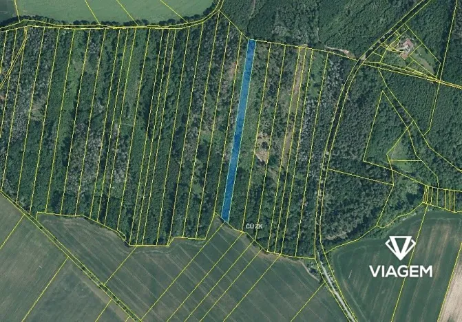 Prodej podílu lesa, Lukovany, 7046 m2