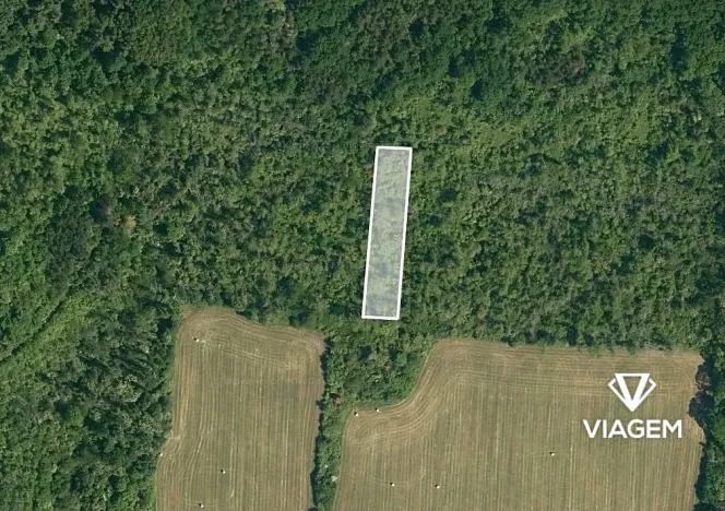 Prodej lesa, Dobrovice, 3778 m2