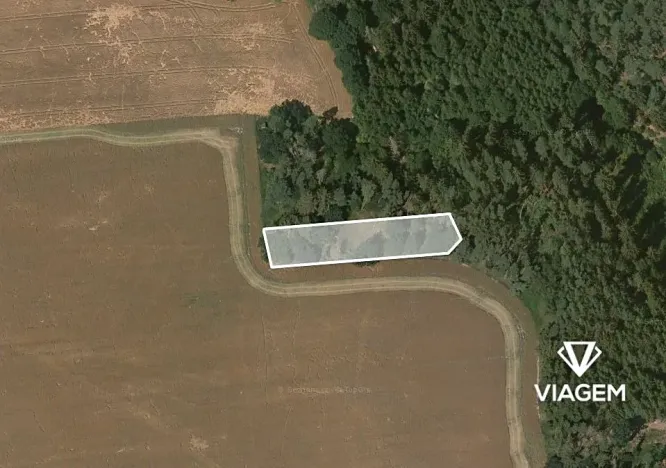 Prodej lesa, Šípy, 1093 m2