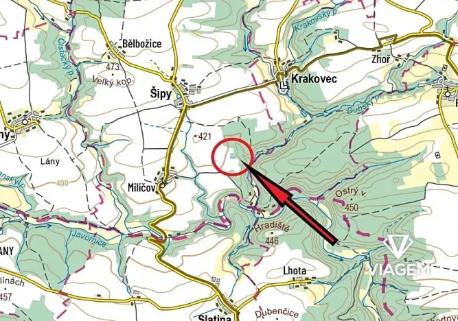 Prodej lesa, Šípy, 1093 m2