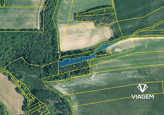 Prodej lesa, Šípy, 2437 m2