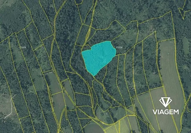 Prodej lesa, Spálov, 19116 m2