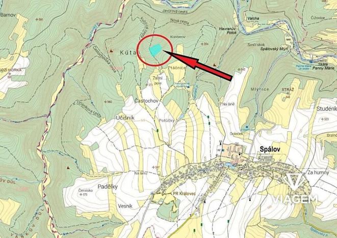 Prodej lesa, Spálov, 19116 m2