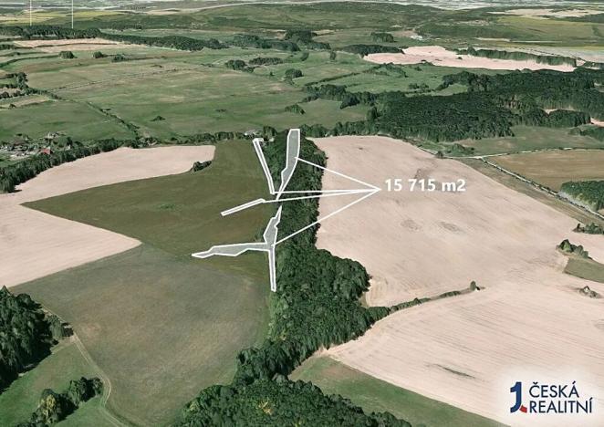 Prodej podílu lesa, Liptaň, 3143 m2