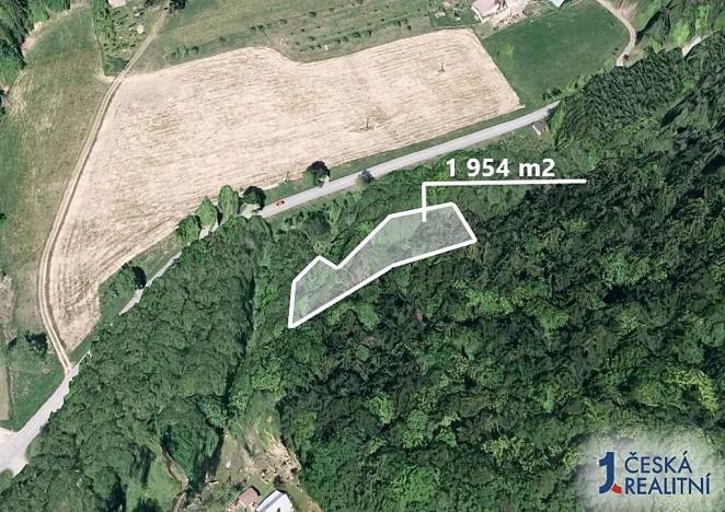 Prodej lesa, Držková, 1954 m2