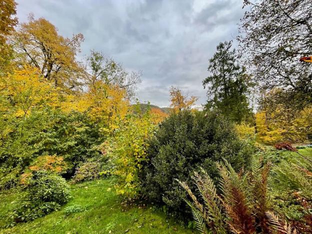 Prodej pozemku pro bydlení, Malá Skála, 563 m2