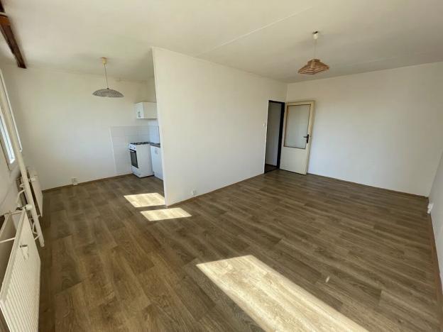 Pronájem bytu 1+1, Litvínov, Bezručova, 45 m2