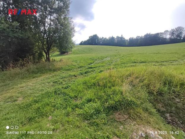 Prodej pozemku pro bydlení, Lipová-lázně, 22105 m2