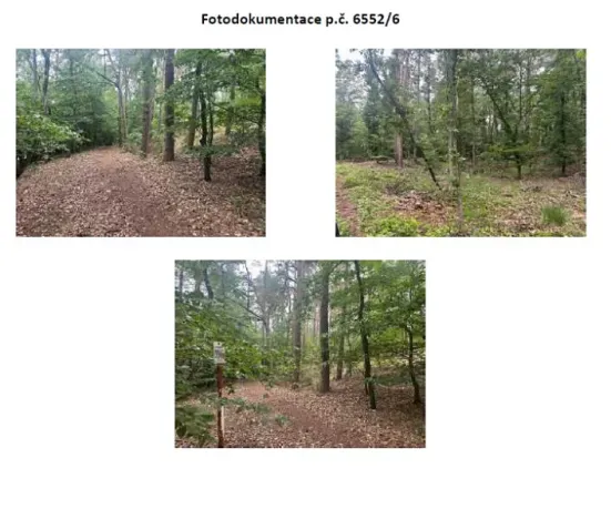 Prodej pozemku, Holice, 5782 m2