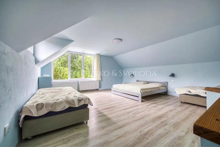 Prodej vícegeneračního domu, Pavlov, 354 m2