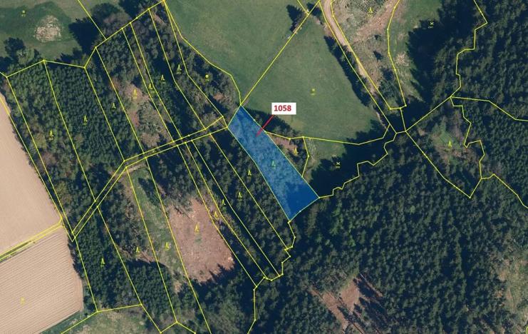 Dražba lesa, Moraveč, 2350 m2