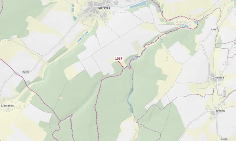 Dražba lesa, Moraveč, 543 m2