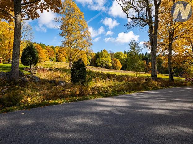 Prodej louky, Stožec, 6572 m2
