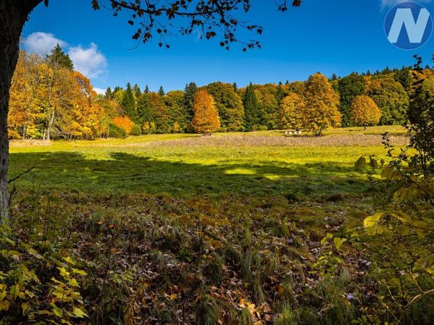 Prodej louky, Stožec, 6572 m2