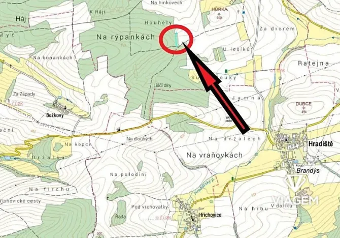 Prodej lesa, Blížejov, 1490 m2