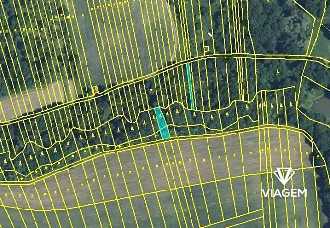 Prodej lesa, Hradčovice, 525 m2
