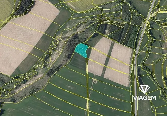 Prodej podílu lesa, Suchá, 1564 m2