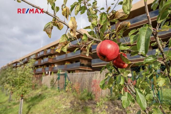 Pronájem bytu 2+kk, Slaný, Lázeňská, 46 m2