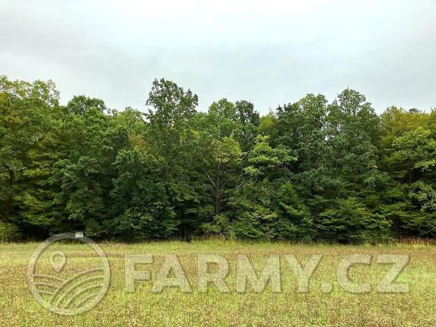 Prodej podílu pole, Dolní Roveň, 62359 m2