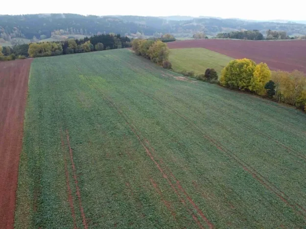 Dražba pole, Staré Buky, 71140 m2