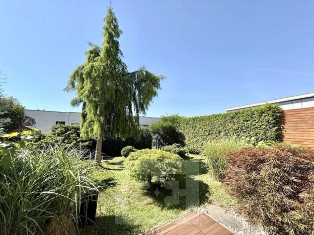 Pronájem rodinného domu, Praha - Jinonice, U panské zahrady, 302 m2