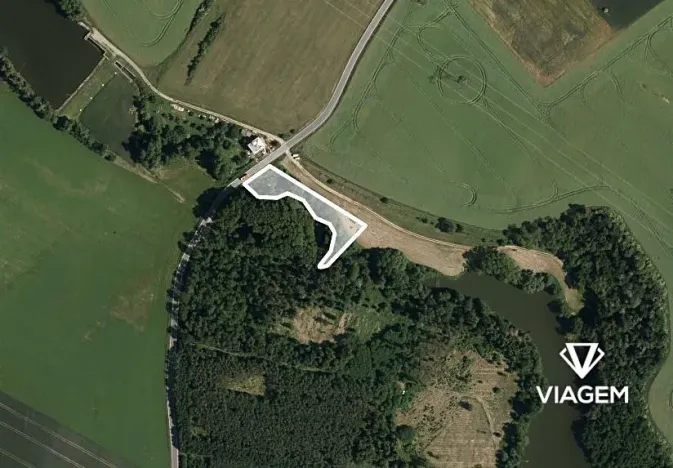 Prodej podílu lesa, Dalešice, 1263 m2