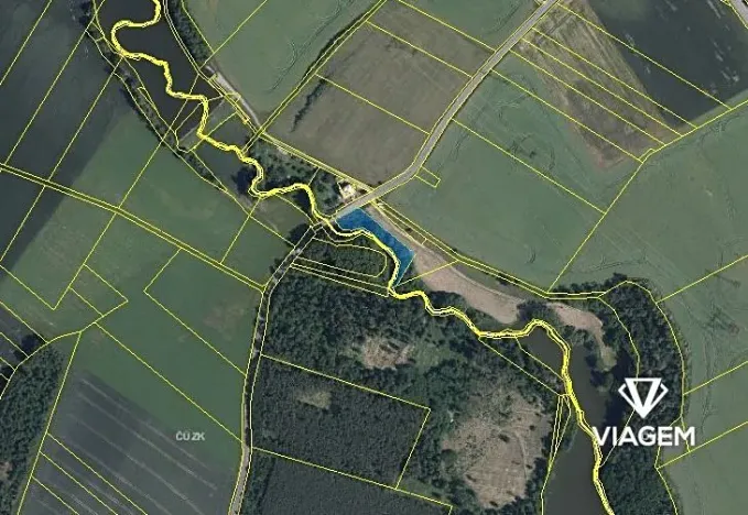 Prodej podílu lesa, Dalešice, 1263 m2