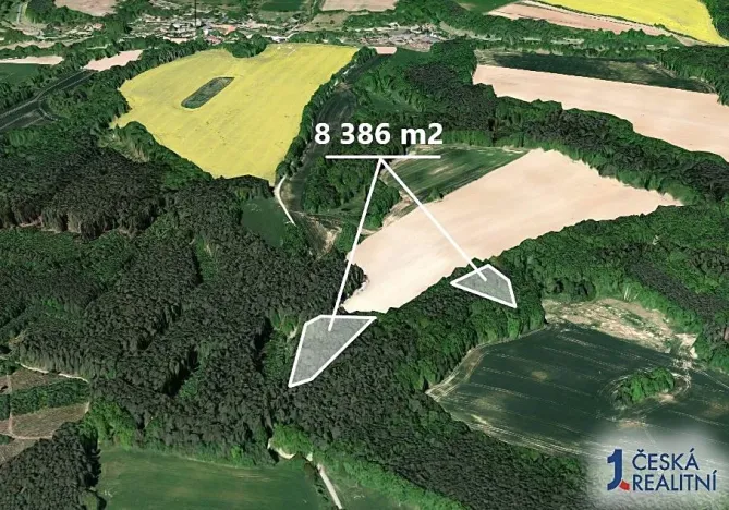 Prodej podílu lesa, Snědovice, 4193 m2