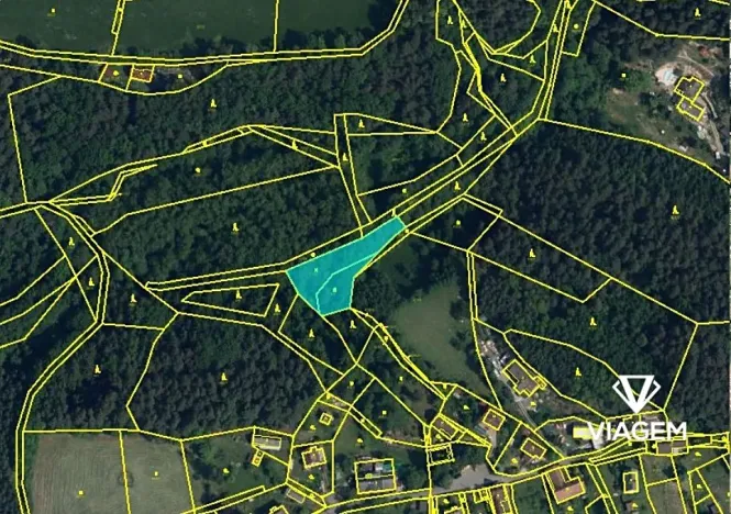 Prodej podílu lesa, Mírová pod Kozákovem, 844 m2