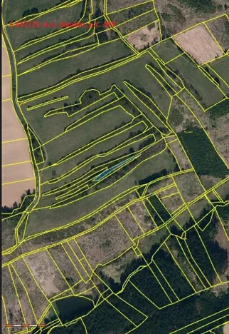 Prodej lesa, Častrov, 768 m2