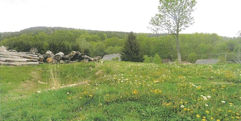 Prodej pozemku, Meziměstí, 1272 m2