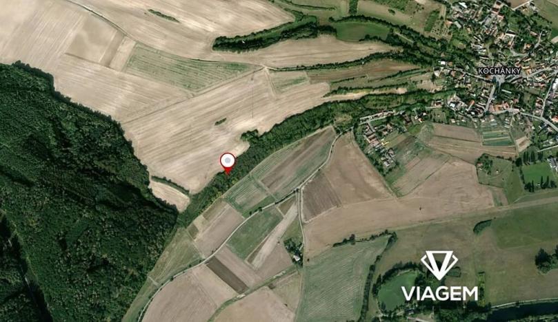 Prodej podílu lesa, Kochánky, 10625 m2