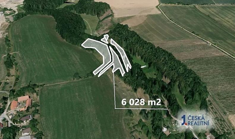 Prodej podílu lesa, Velký Třebešov, 586 m2