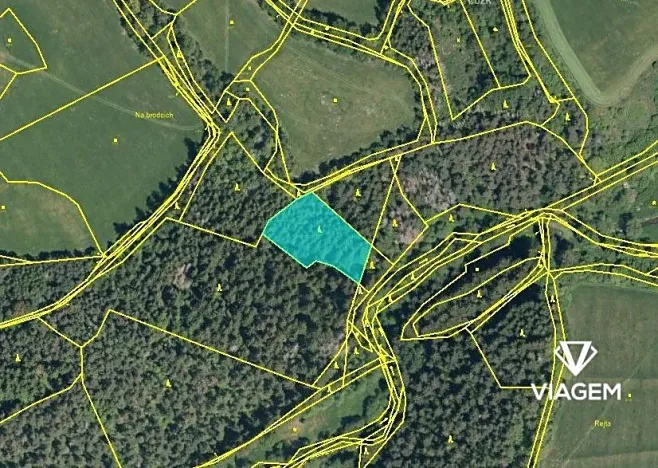 Prodej podílu lesa, Bošice, 1711 m2