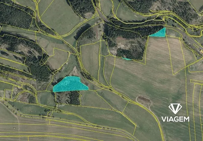 Prodej podílu lesa, Otročín, 1817 m2