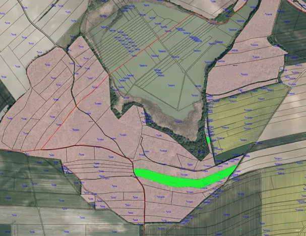 Prodej lesa, Bohuslavice, 11442 m2