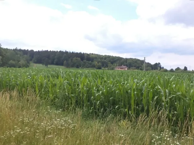 Dražba pole, Roudné, 8259 m2