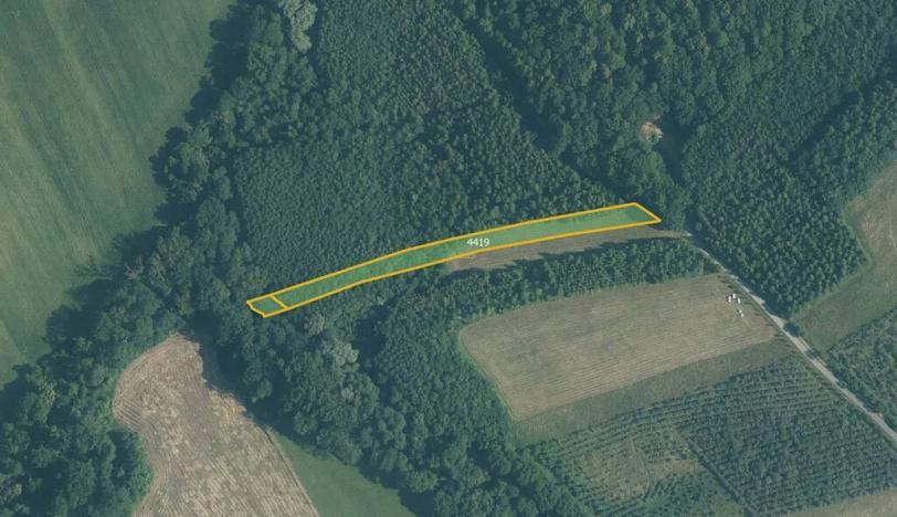 Prodej pole, Police, 51014 m2