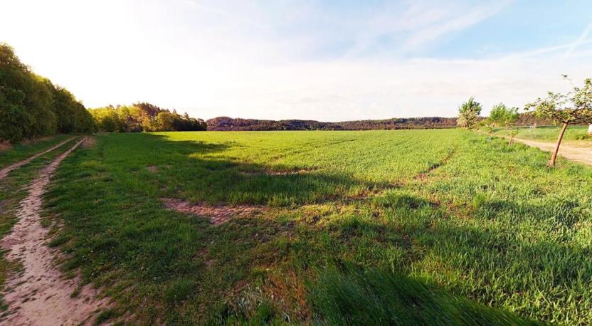 Prodej pole, Blíževedly, 28865 m2
